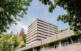 KauzenNest